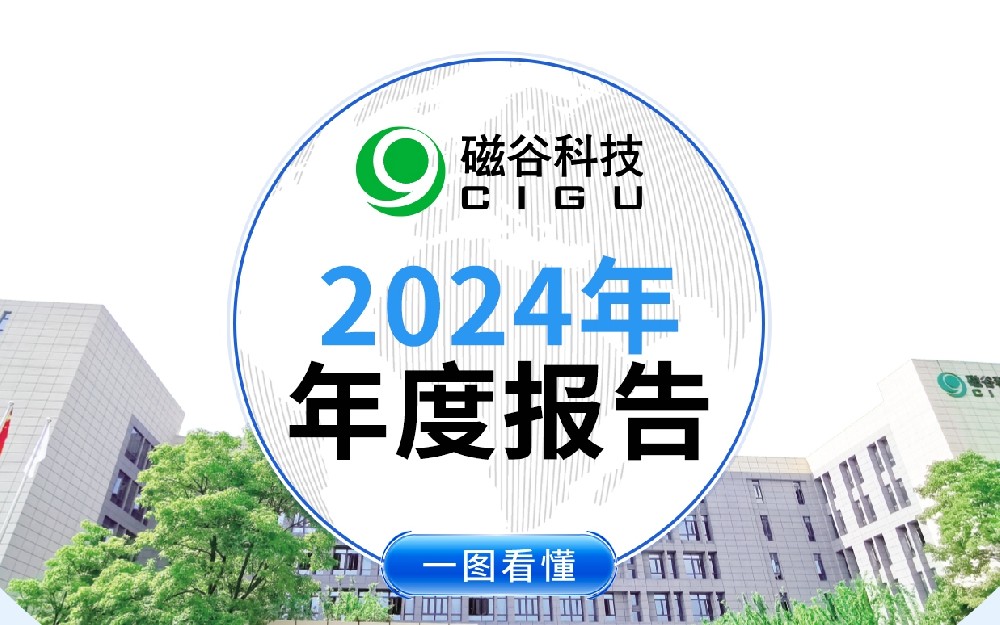 一图看懂丨PG电子科技2024年年度报告